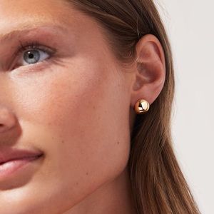 NWOT Ana Luisa Mini Abby 14K gold plated Hoop Earrings
